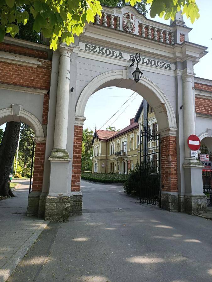 Apartament U Agaty Czernichow Krakow Zator Εξωτερικό φωτογραφία